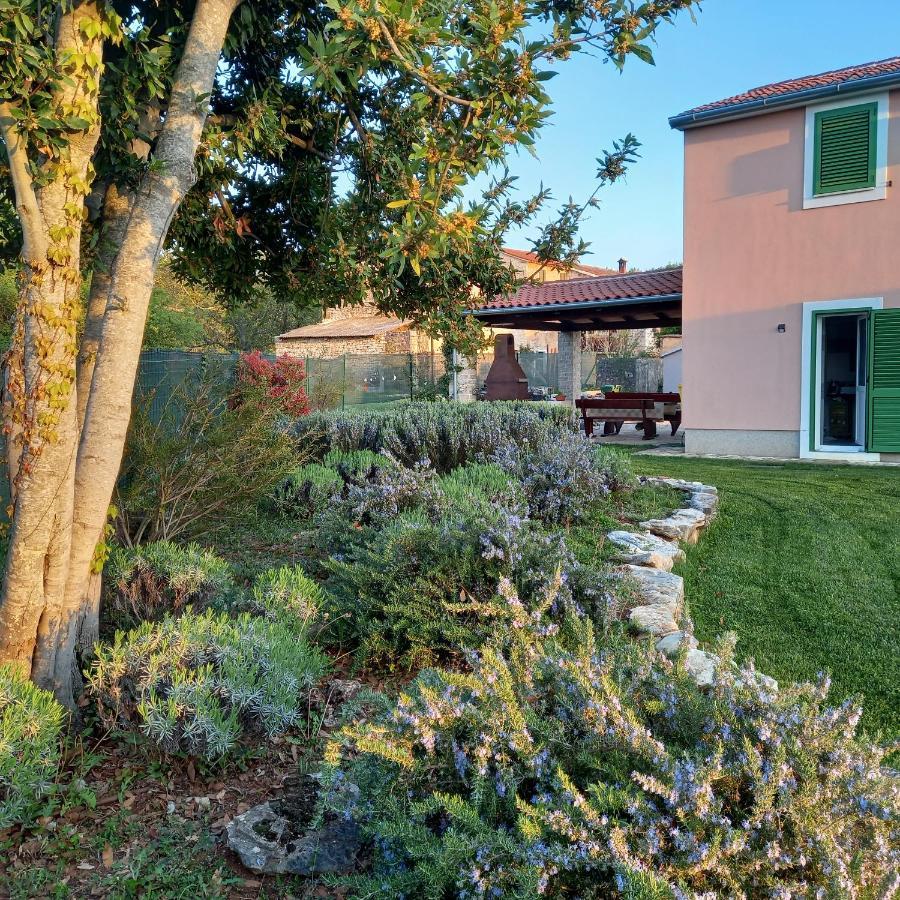 Villa Malini Groznjan Exterior photo
